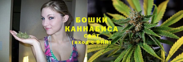 Альфа ПВП Дмитриев
