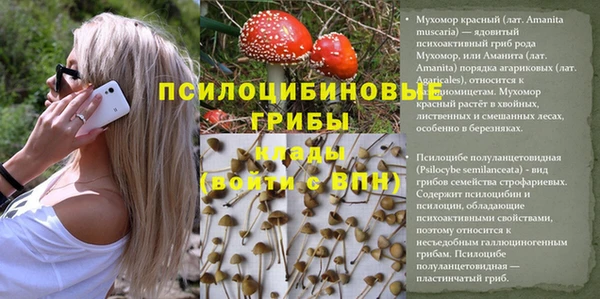 Альфа ПВП Дмитриев