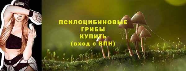 синтетический гашиш Дмитров