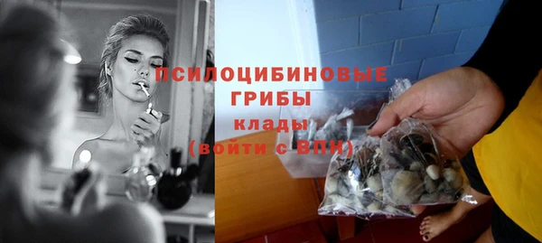 Альфа ПВП Дмитриев