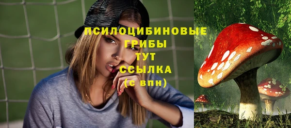 Альфа ПВП Дмитриев